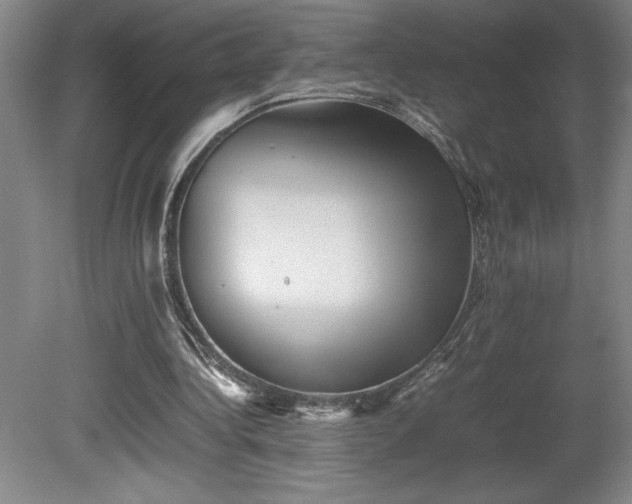 X0000081410340200701191535