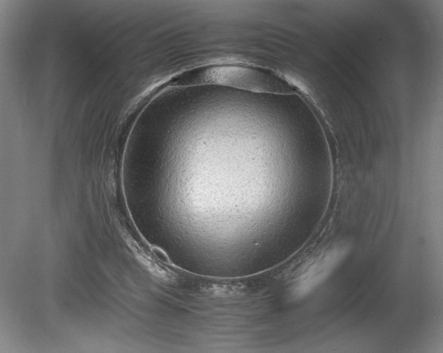 X0000081410345200701191536