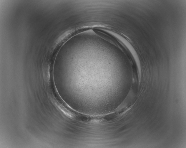 X0000081410350200701191536