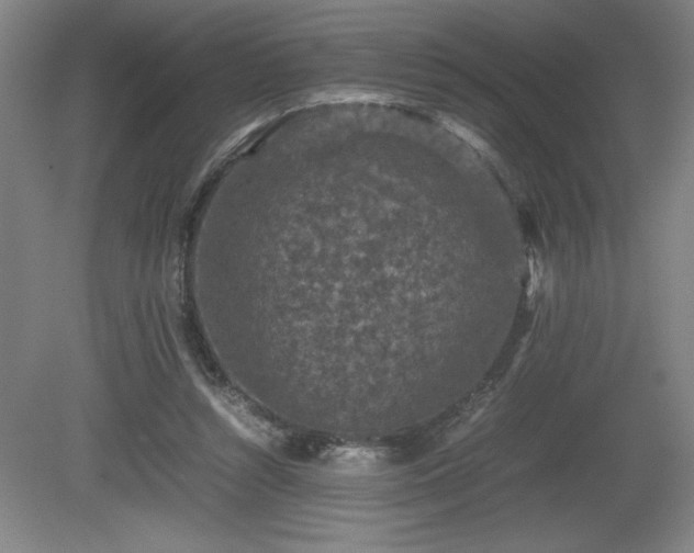 X0000081410352200701191536