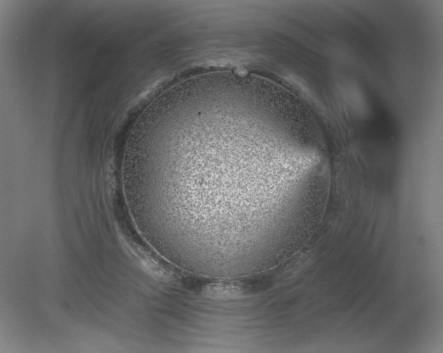 X0000081410354200701191536