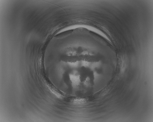 X0000081410357200701191536