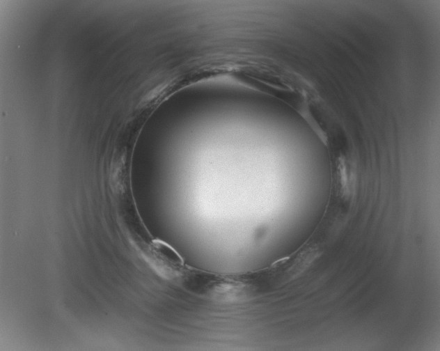 X0000081410364200701191536