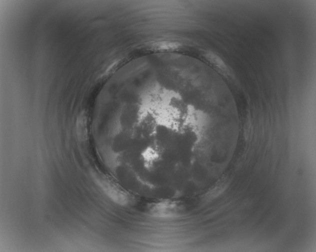X0000081410366200701191536