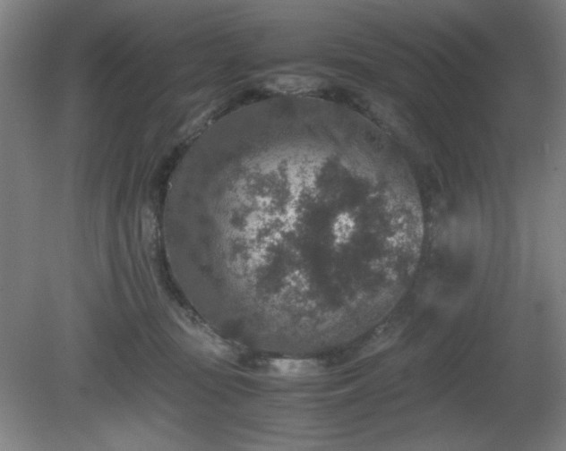 X0000081410371200701191536