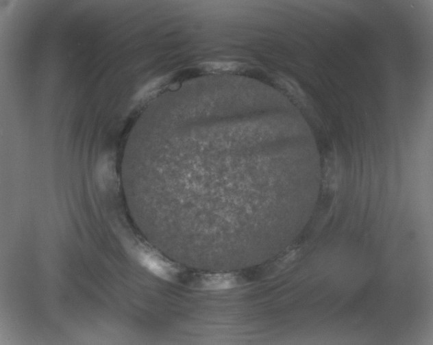 X0000081410377200701191536