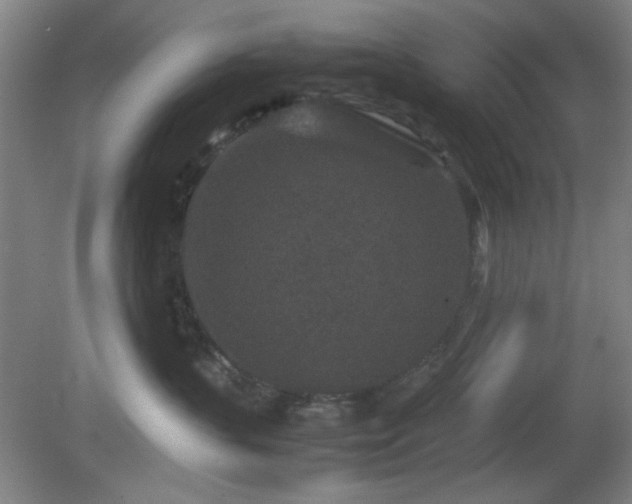 X0000081410383200701191536