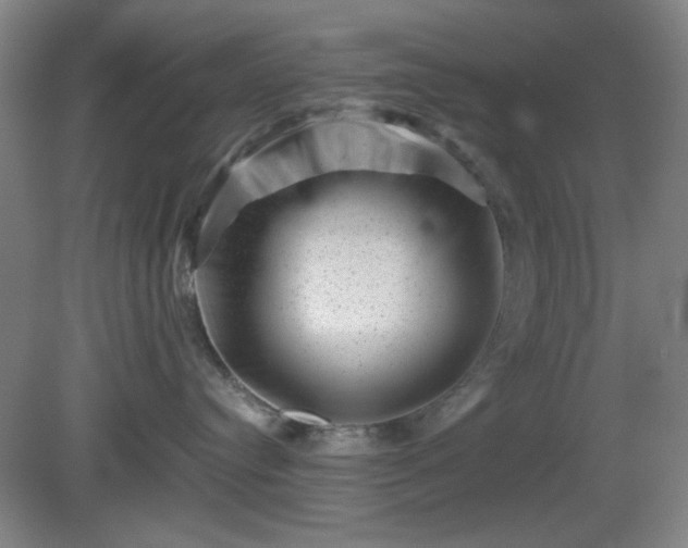 X0000081410384200701191536