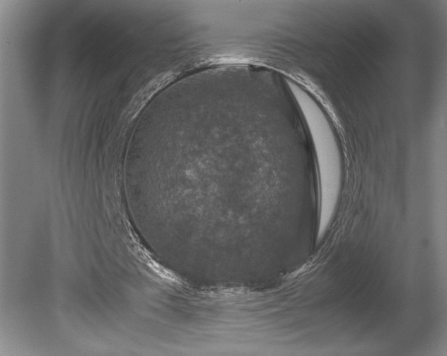 X0000081410385200701191535