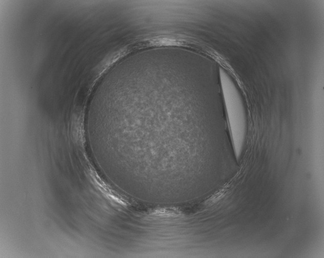 X0000081410386200701191535