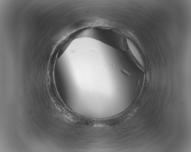 X0000081410388200701191535