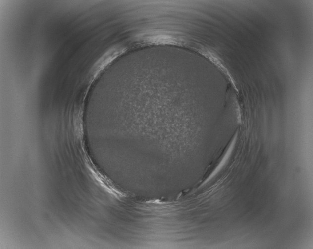 X0000081410390200701191535