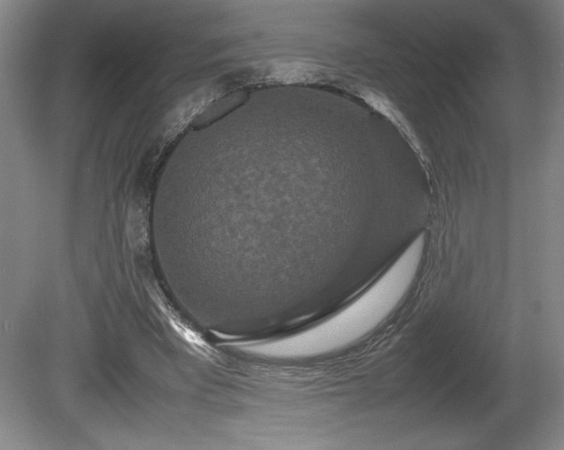 X0000081410393200701191535