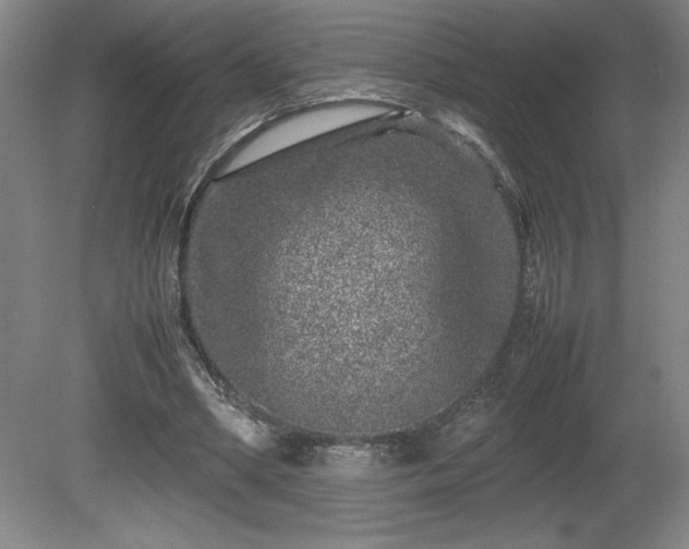 X0000081410394200701191535