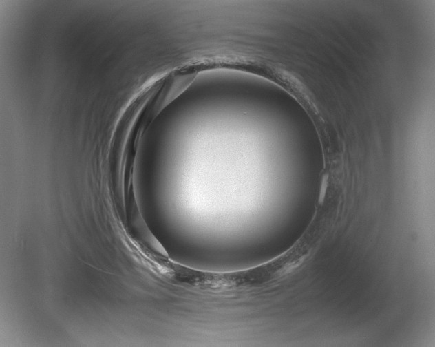 X0000081410395200701191535