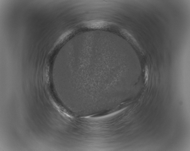 X0000081410400200701191535