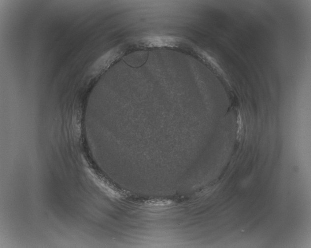 X0000081410402200701191535