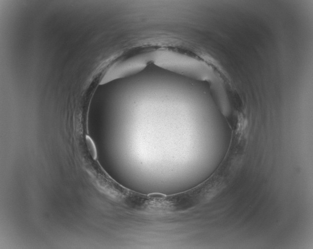 X0000081410403200701191535