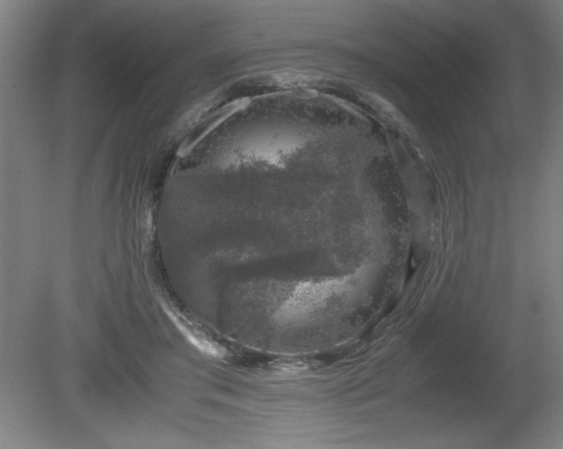 X0000081410405200701191535