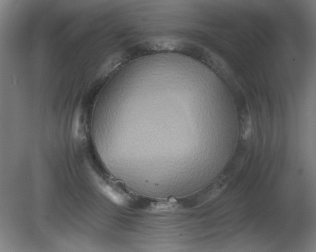 X0000081410414200701191535