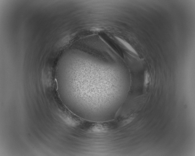 X0000081410416200701191535