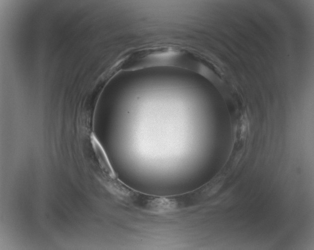 X0000081410421200701191535