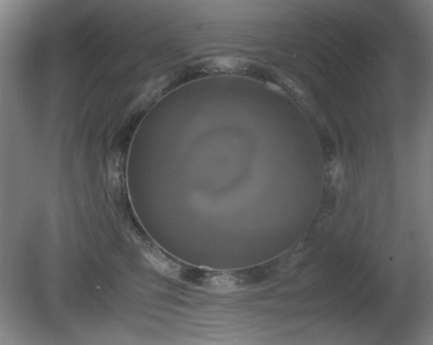 X0000081410423200701191535