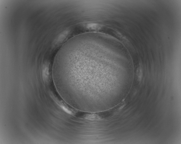 X0000081410424200701191535