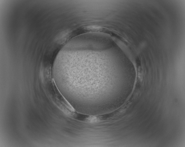 X0000081410425200701191535