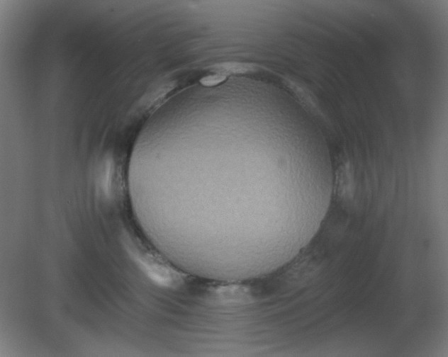 X0000081410426200701191535