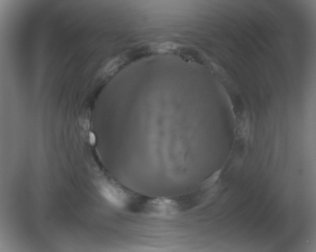 X0000081410427200701191535