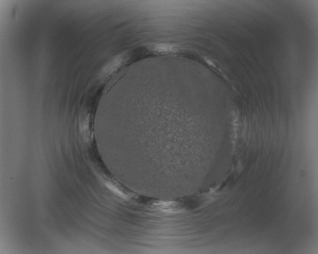 X0000081410428200701191535