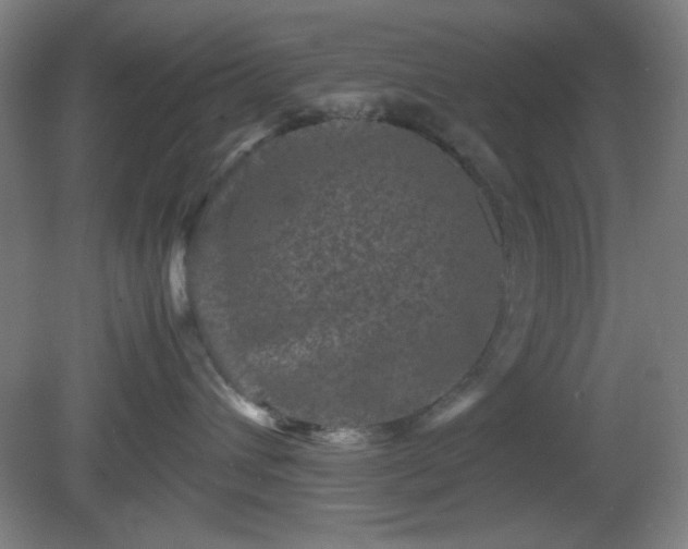 X0000081410432200701191535
