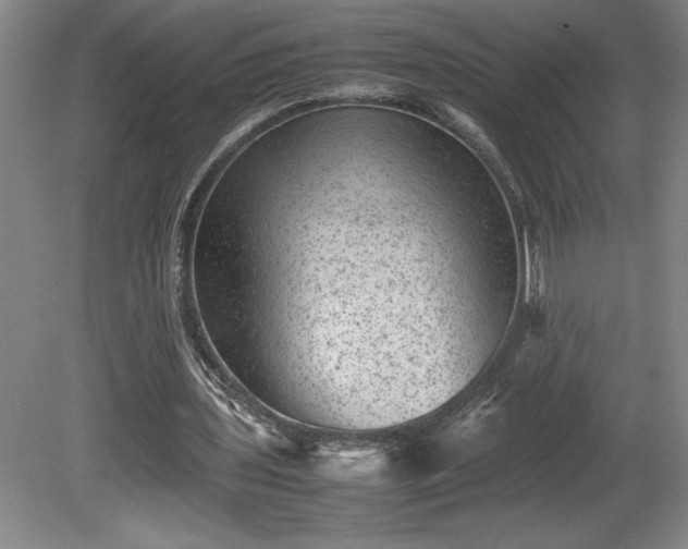 X0000081410435200701191534