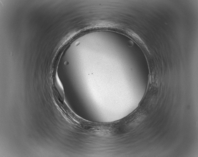 X0000081410436200701191534