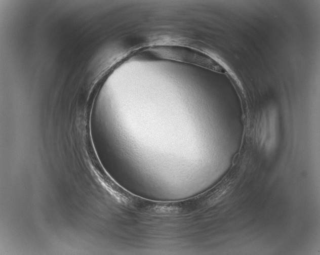 X0000081410437200701191534