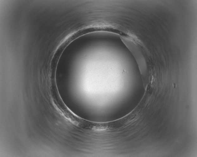 X0000081410440200701191534