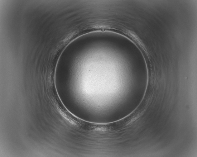 X0000081410441200701191534