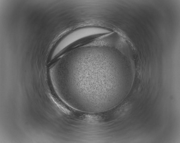 X0000081410442200701191534