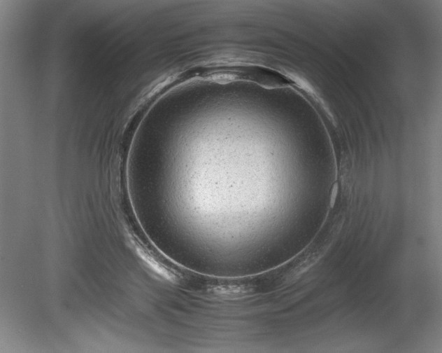 X0000081410445200701191534