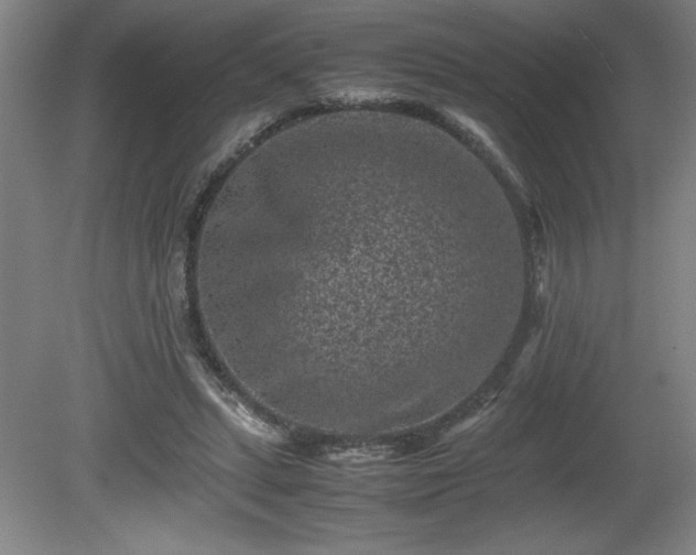 X0000081410447200701191534