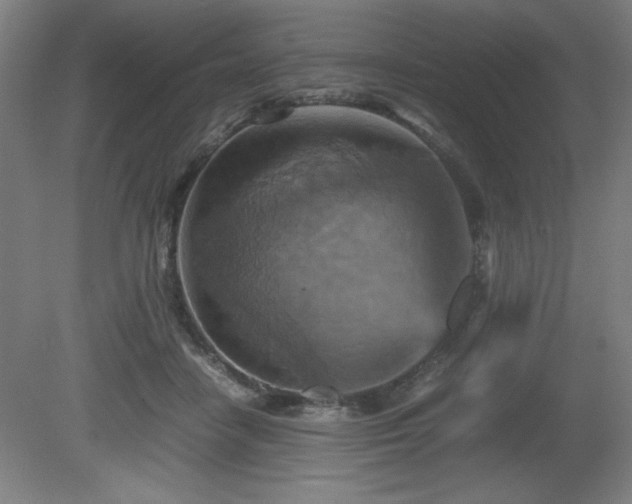 X0000081410458200701191534