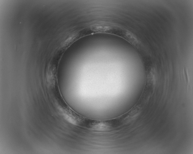 X0000081410460200701191534