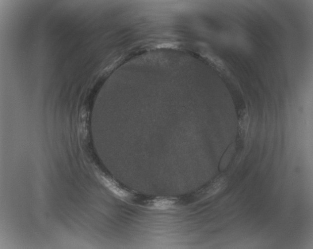 X0000081410462200701191534