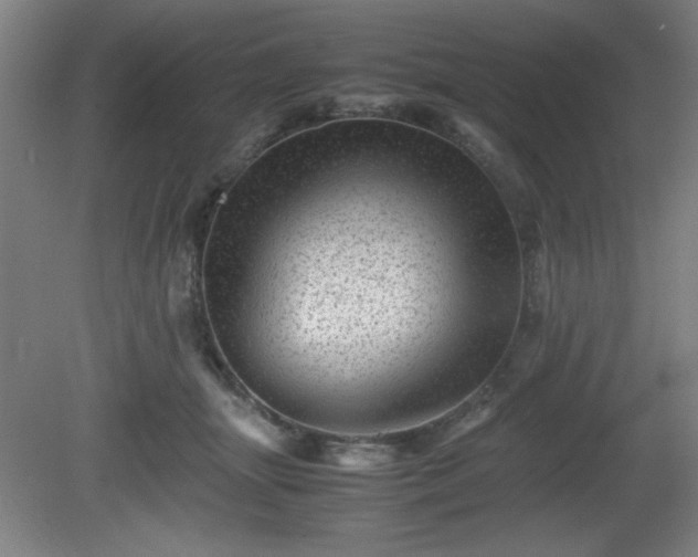 X0000081410463200701191534