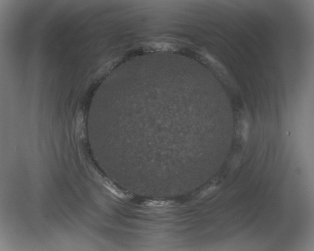 X0000081410465200701191534