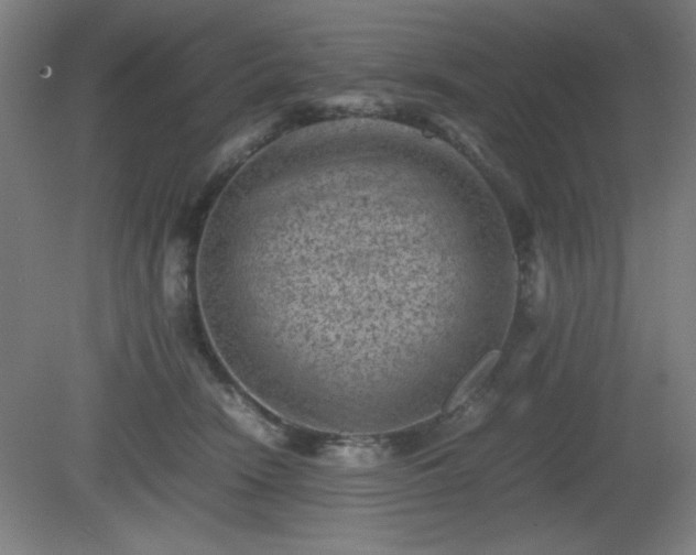 X0000081410466200701191534
