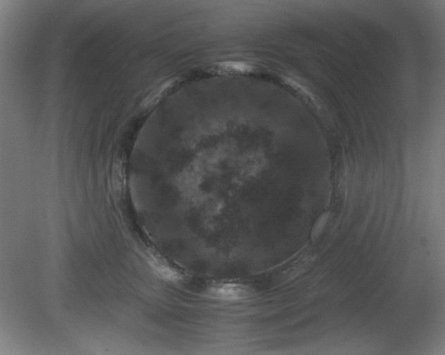 X0000081410467200701191534