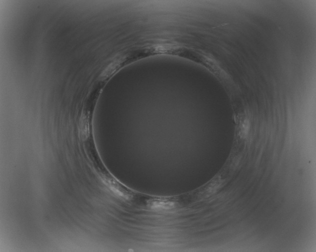 X0000081410471200701191534