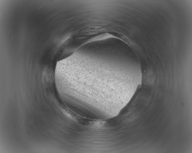 X0000081410474200701191534